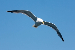 m20120611-IMG_4798